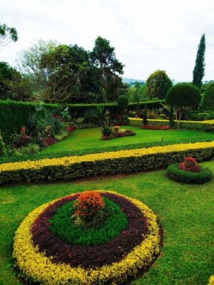 hp garden services  