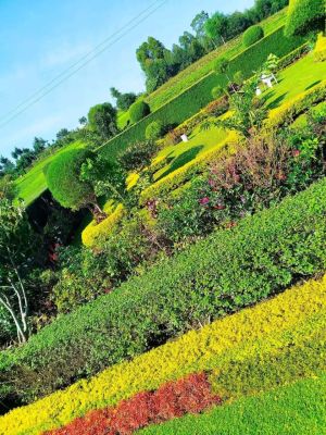 hp garden services  
