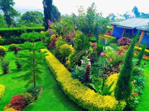 hp garden services  