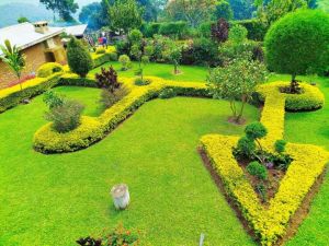 hp garden services  