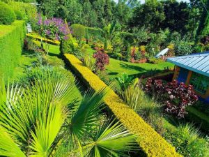 hp garden services  