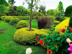 hp garden services  