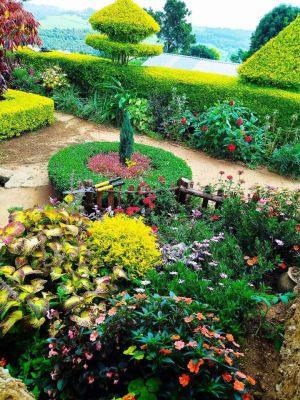 hp garden services  