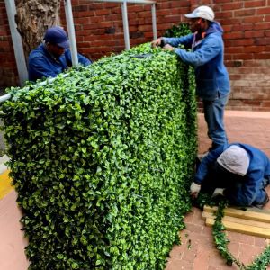 hp garden services  