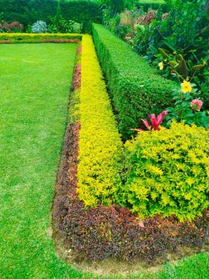 hp garden services  