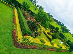 hp garden services  